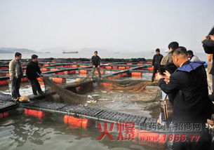 深化南北漁業合作，專家共探智能低碳環保與技術交流新趨勢——水產之旅紀實圖文報道的現代價值所在｜遠望